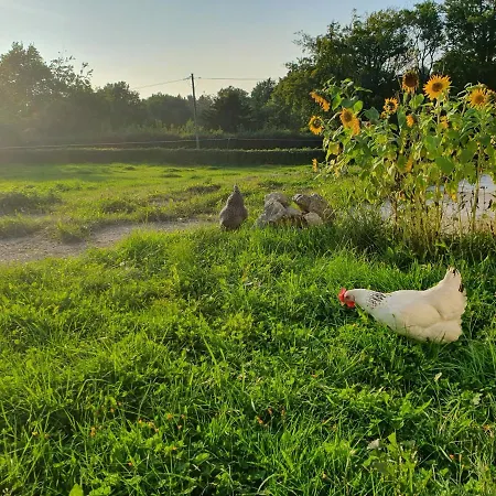 Eifel Glueck * הורטגנוואלד