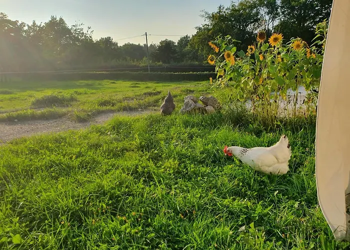 Eifel Glueck * Hurtgenwald